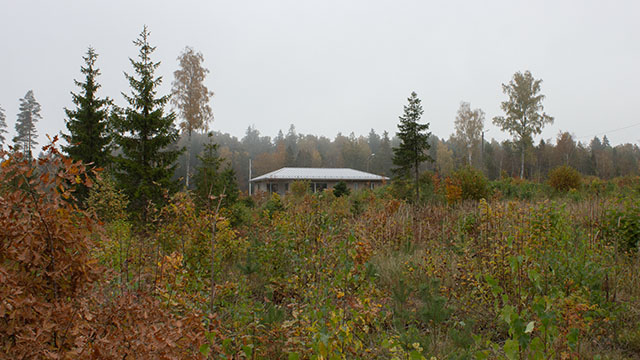 Maakodu Jänedal